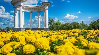 Автомобильные Грузовые перевозки Полтава