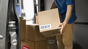 Перевозки вещей