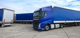 Сельскохозяйственная продукция