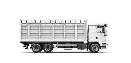 Грузоперевозки зерновозом